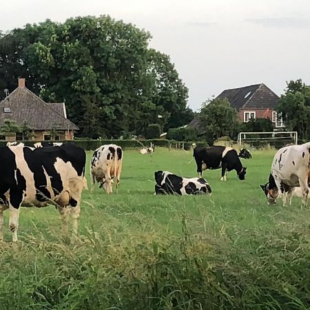 Bed and Breakfast Heerlijk Gaanderhei Gaanderen Exterior foto